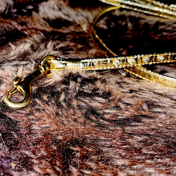 Puppia Gold Sparkle leash collar harness set. Furrylicious! Excellent condition. - Picture 9 of 12